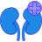 Creatinine Clearance Calculator Creatinine Clearance Calculator